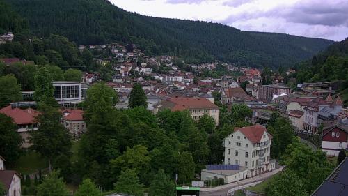 Webcam Bad Wildbad