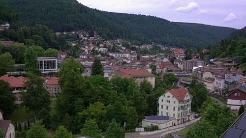 Webcam Bad Wildbad