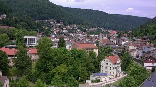 Webcam Bad Wildbad