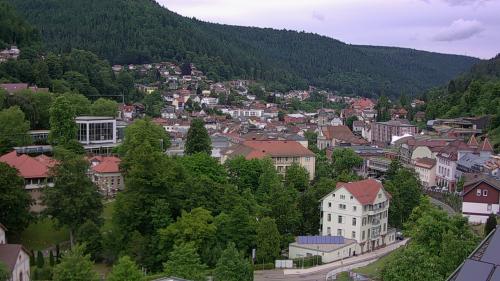Webcam Bad Wildbad
