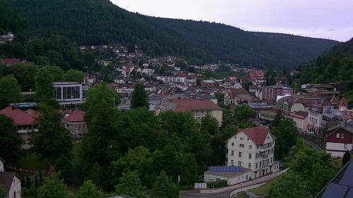Webcam Bad Wildbad