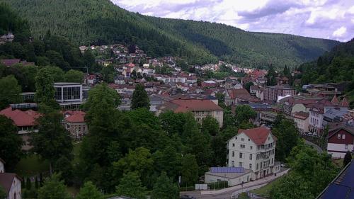 Webcam Bad Wildbad