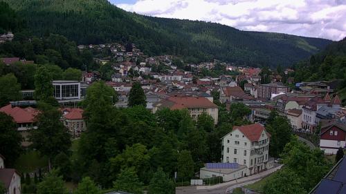 Webcam Bad Wildbad
