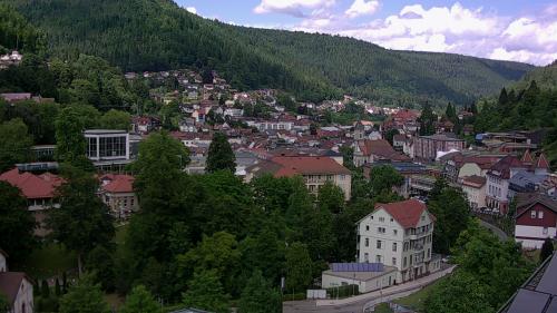 Webcam Bad Wildbad