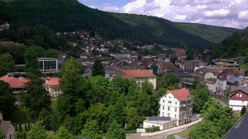 Webcam Bad Wildbad