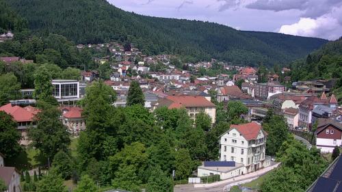 Webcam Bad Wildbad