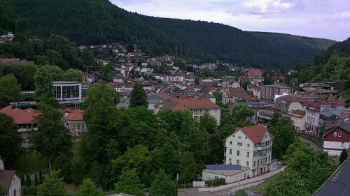 Webcam Bad Wildbad