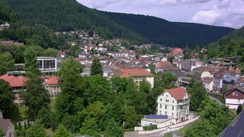 Webcam Bad Wildbad