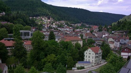 Webcam Bad Wildbad