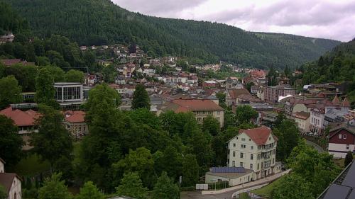 Webcam Bad Wildbad