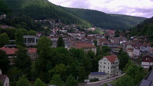 Webcam Bad Wildbad