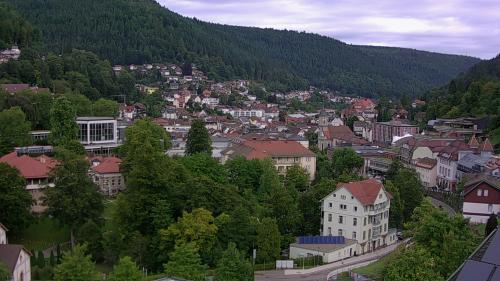 Webcam Bad Wildbad