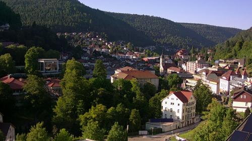 Webcam Bad Wildbad