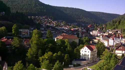 Webcam Bad Wildbad