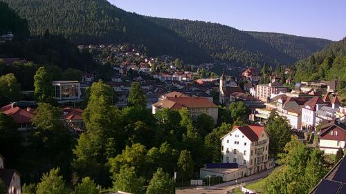 Webcam Bad Wildbad