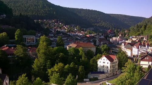 Webcam Bad Wildbad