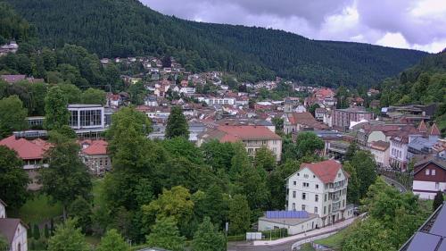 Webcam Bad Wildbad