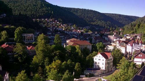 Webcam Bad Wildbad