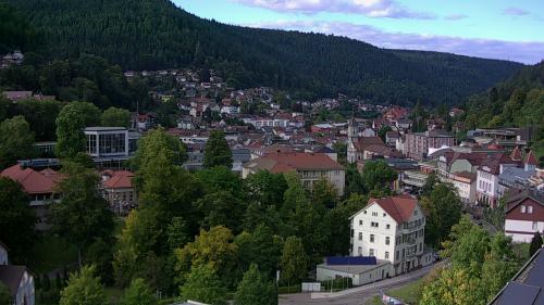 Webcam Bad Wildbad
