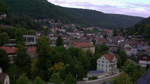 Webcam Bad Wildbad