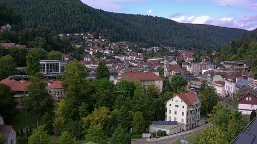 Webcam Bad Wildbad