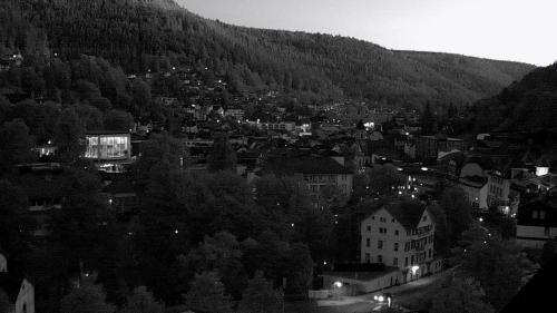 Webcam Bad Wildbad