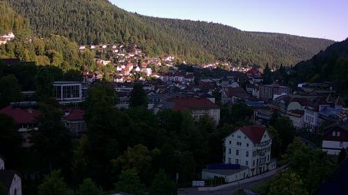 Webcam Bad Wildbad