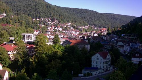 Webcam Bad Wildbad