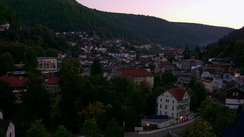 Webcam Bad Wildbad