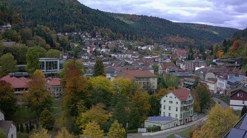 Webcam Bad Wildbad