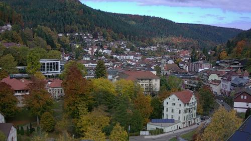 Webcam Bad Wildbad