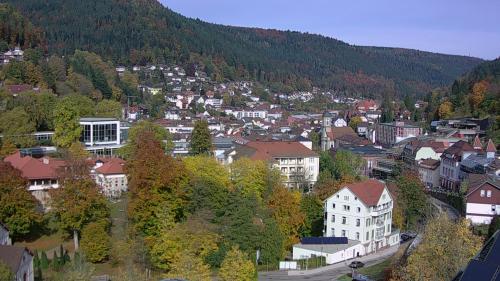 Webcam Bad Wildbad