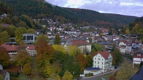 Webcam Bad Wildbad