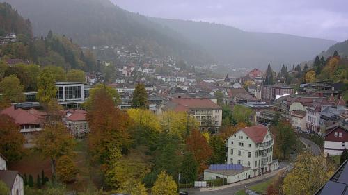 Webcam Bad Wildbad