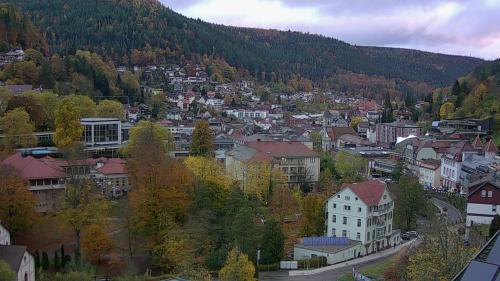 Webcam Bad Wildbad