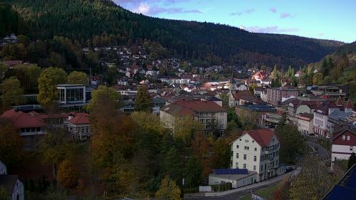 Webcam Bad Wildbad