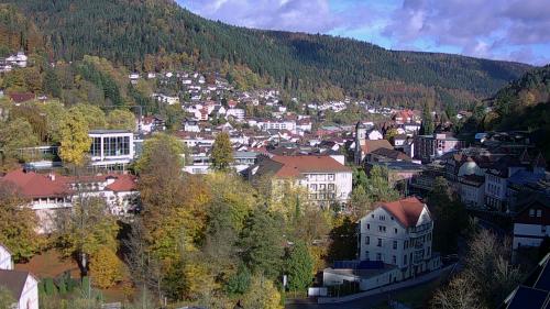 Webcam Bad Wildbad
