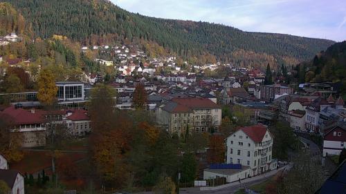 Webcam Bad Wildbad