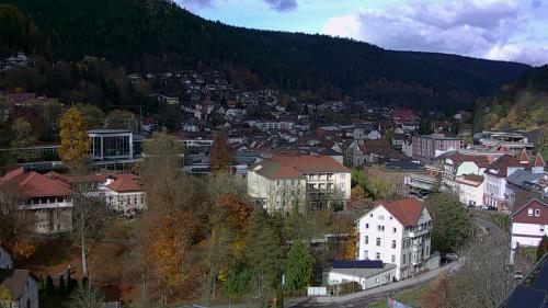 Webcam Bad Wildbad