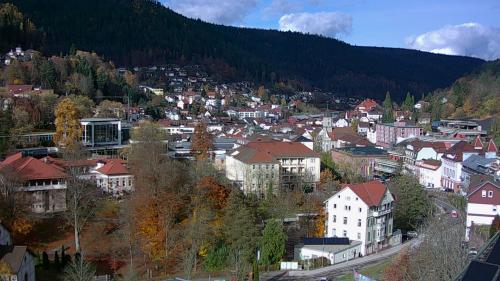 Webcam Bad Wildbad