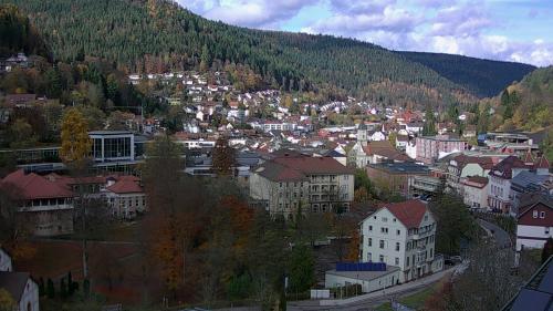 Webcam Bad Wildbad