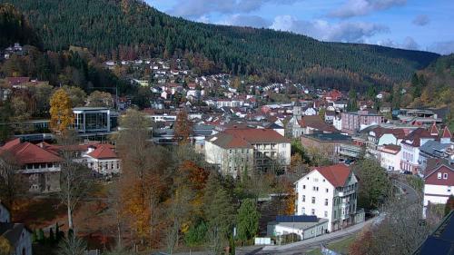 Webcam Bad Wildbad