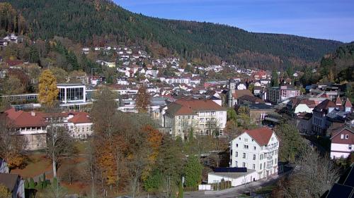 Webcam Bad Wildbad