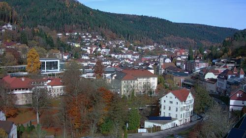 Webcam Bad Wildbad