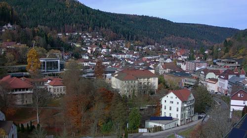 Webcam Bad Wildbad