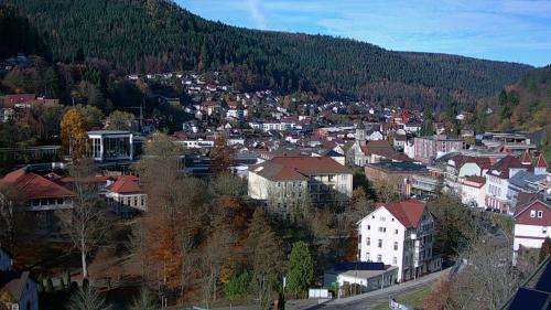 Webcam Bad Wildbad