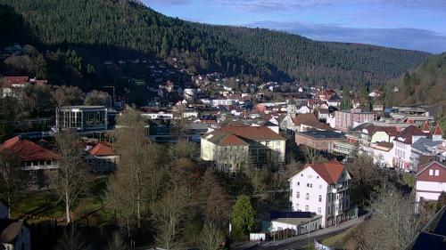 Webcam Bad Wildbad