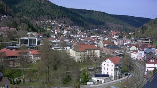 Webcam Bad Wildbad