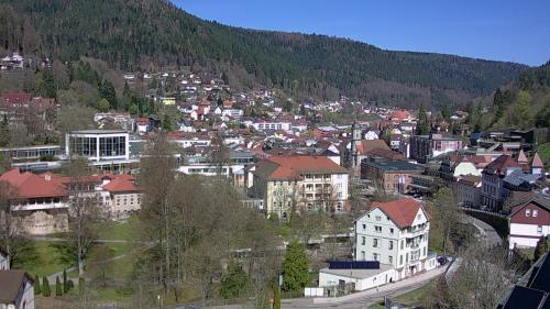 Webcam Bad Wildbad