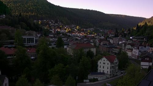 Webcam Bad Wildbad